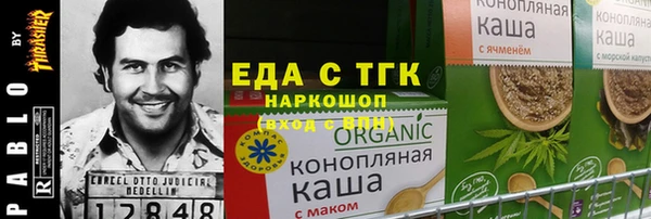 индика Алексин