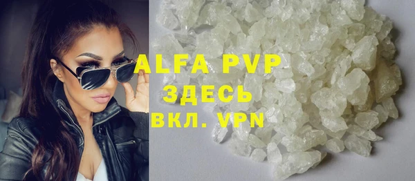 индика Алексин
