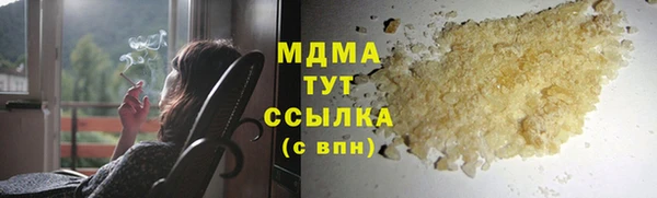 индика Алексин