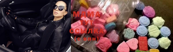 индика Алексин