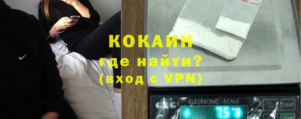 индика Алексин