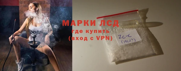 индика Алексин
