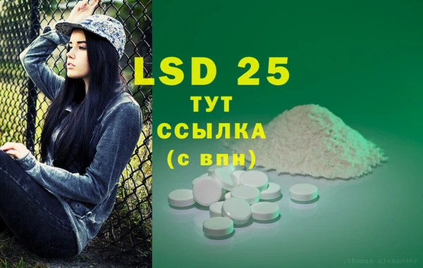 индика Алексин