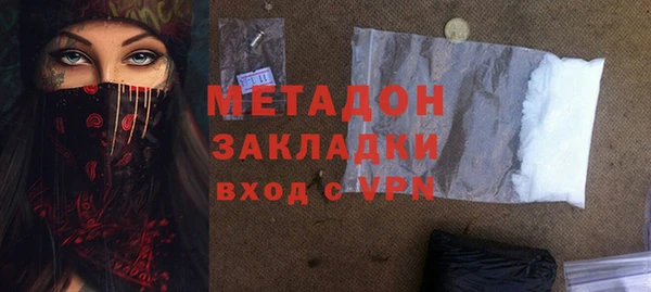индика Алексин