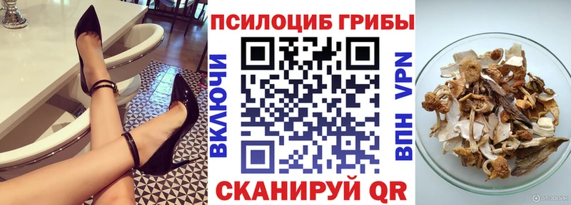 купить наркотики сайты  Добрянка  Псилоцибиновые грибы Psilocybe 