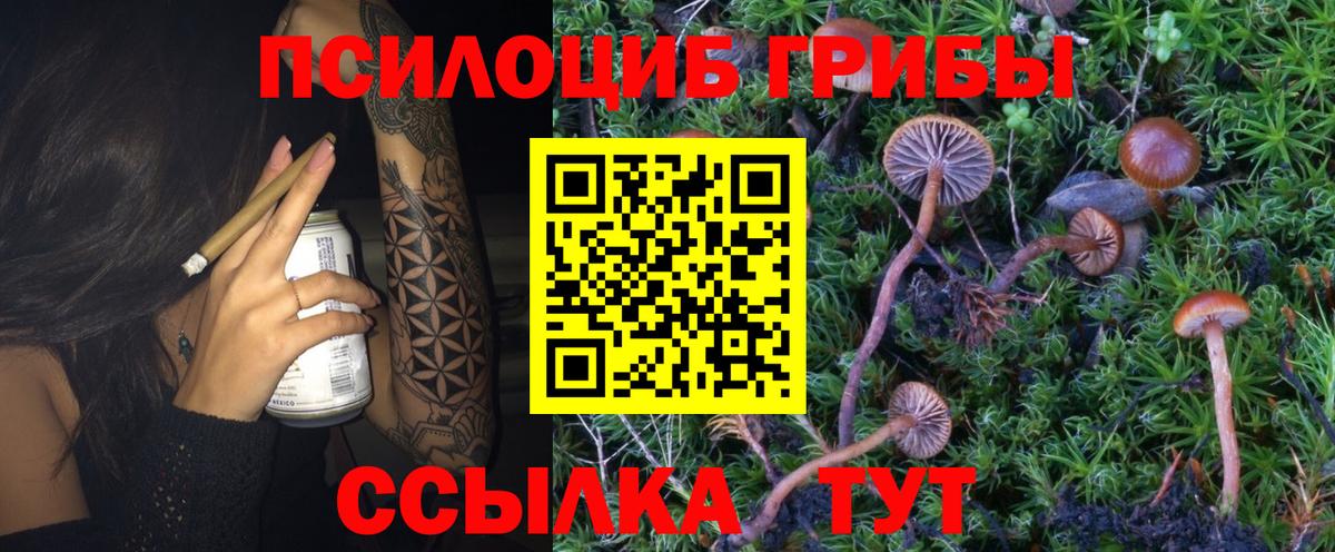Псилоцибиновые грибы Psilocybe  Вход с VPN  Добрянка 